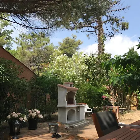 Mini Avec Jardin